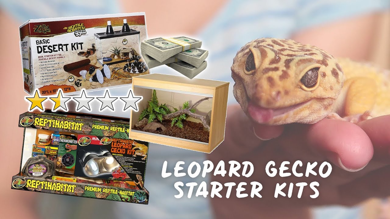 Rating LEOPARD GECKO Starter Kits - What They Contain & Are They Worth It?