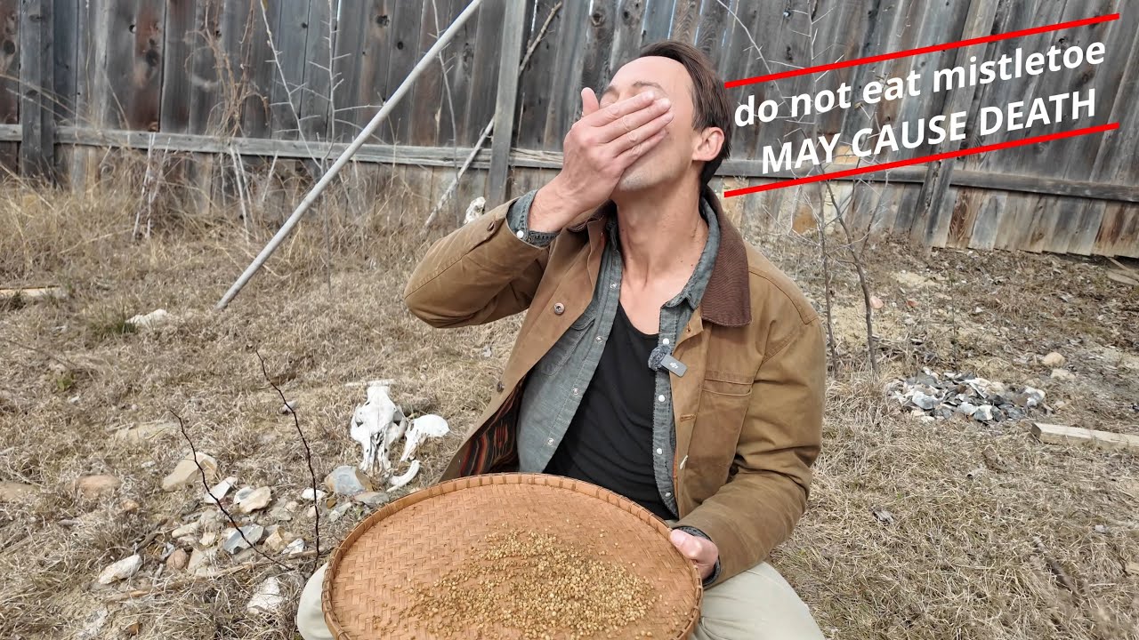 Он съел омелу. Вот что произошло с его телом.