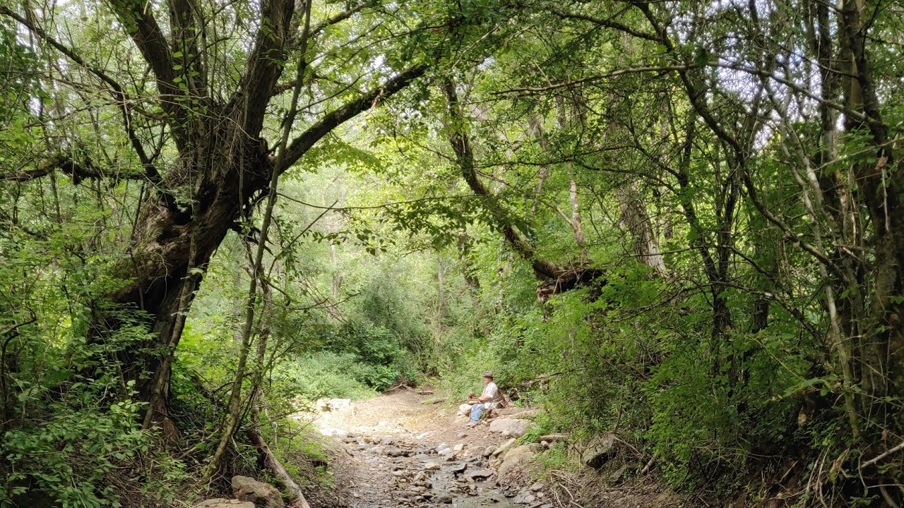 In Cautarea Terenului pe care l-am Cumparat in Munti - Locatie si Descriere