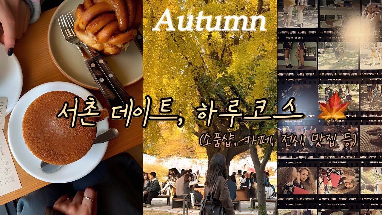 가을의 서촌 데이트 하루코스 | 카페•맛집•전시•은행나무길•단풍길