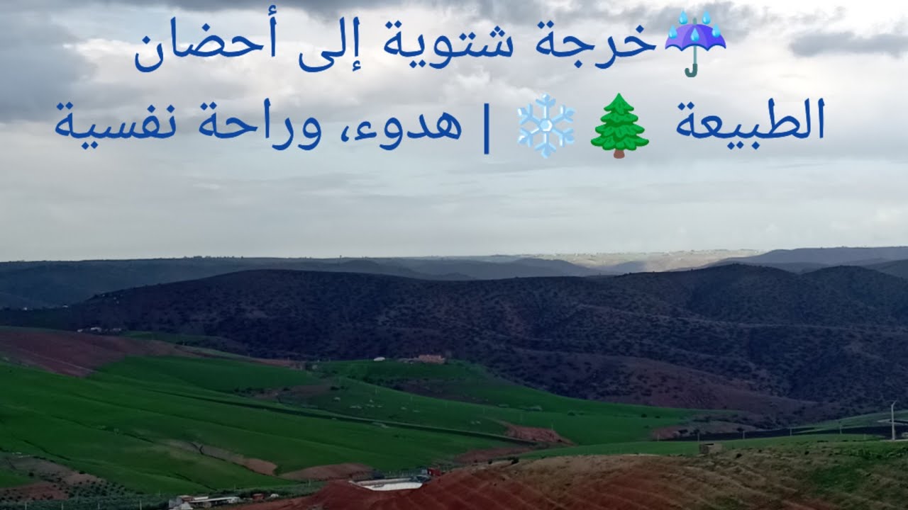 🌲خرجة شتوية إلى أحضان الطبيعة 🌲❄️ | هدوء، وراحة نفسية