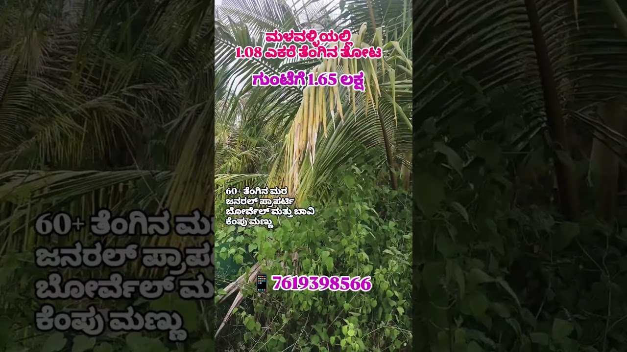 1.08 Acer Coconut farm land for sale at Malavalli 📱7619398566