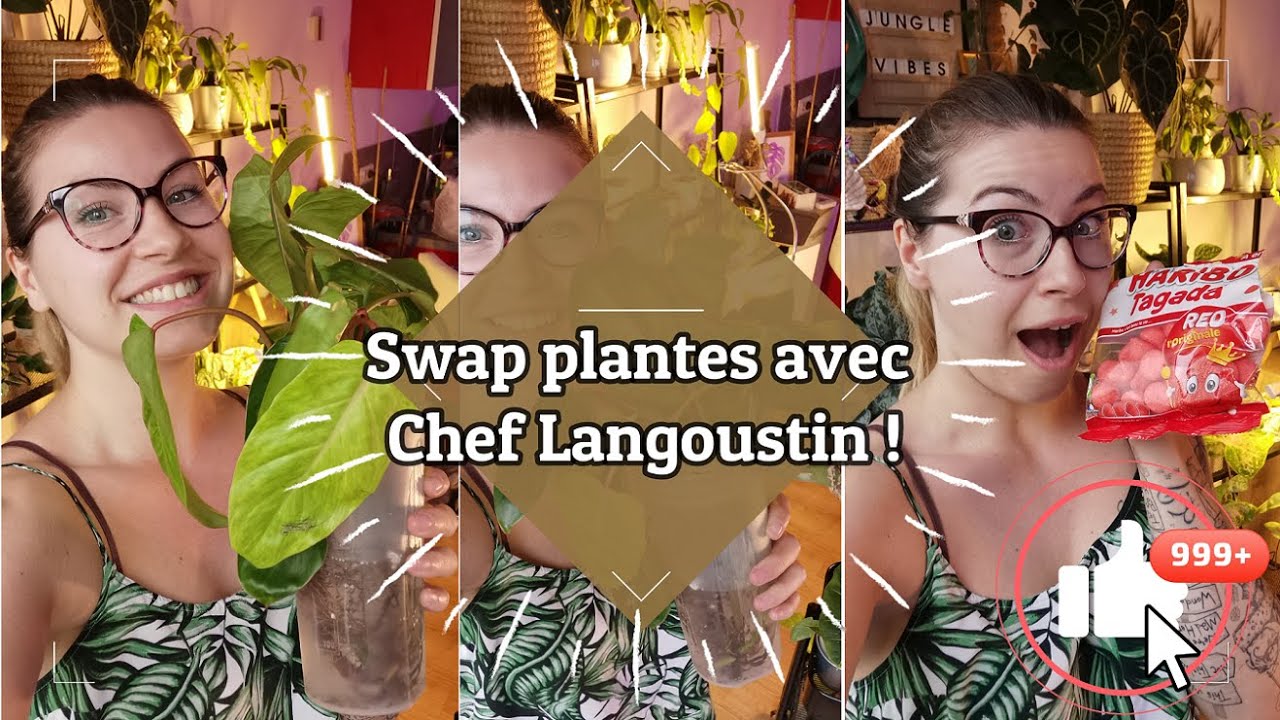 Swap plantes avec Chef Langoustin !