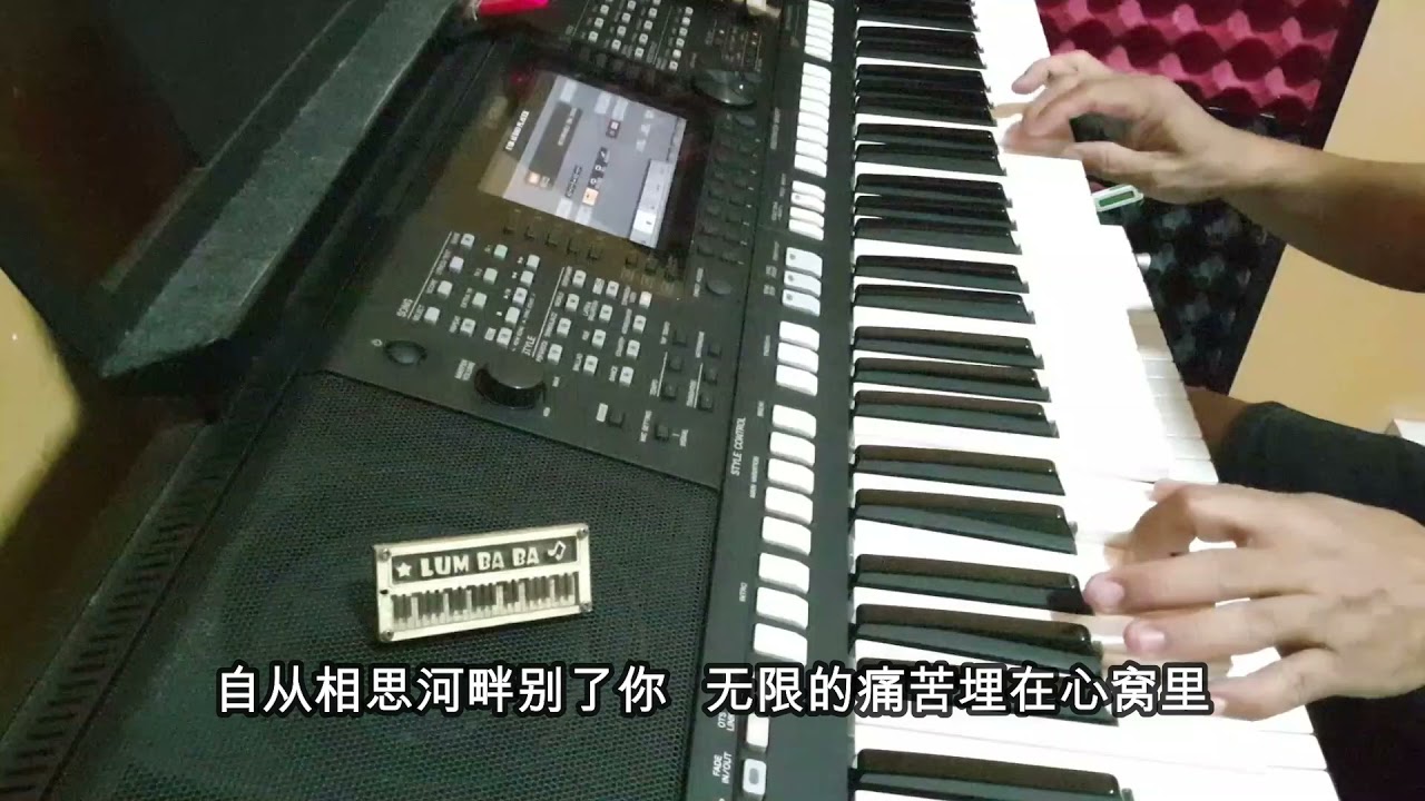 相思河畔～ 电子琴经典老歌演奏 YAMAHA PSRS 775 Cover By  LumBaBa