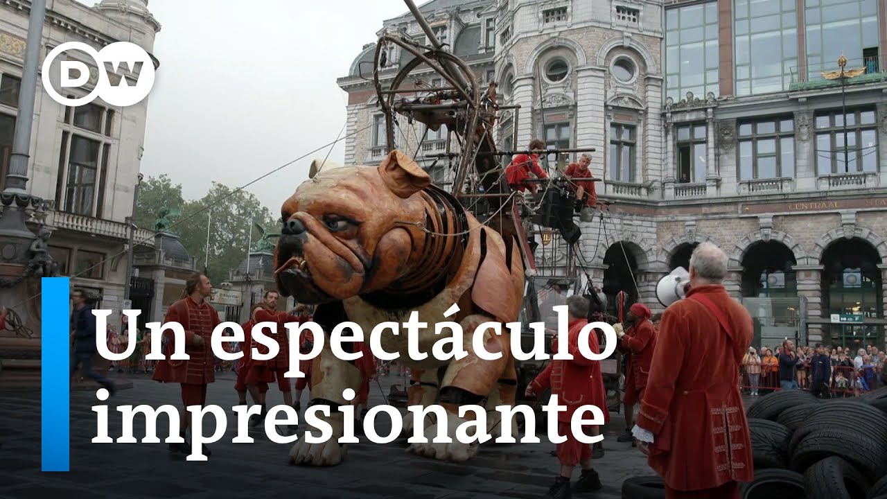 Perros gigantes en las calles de Amberes