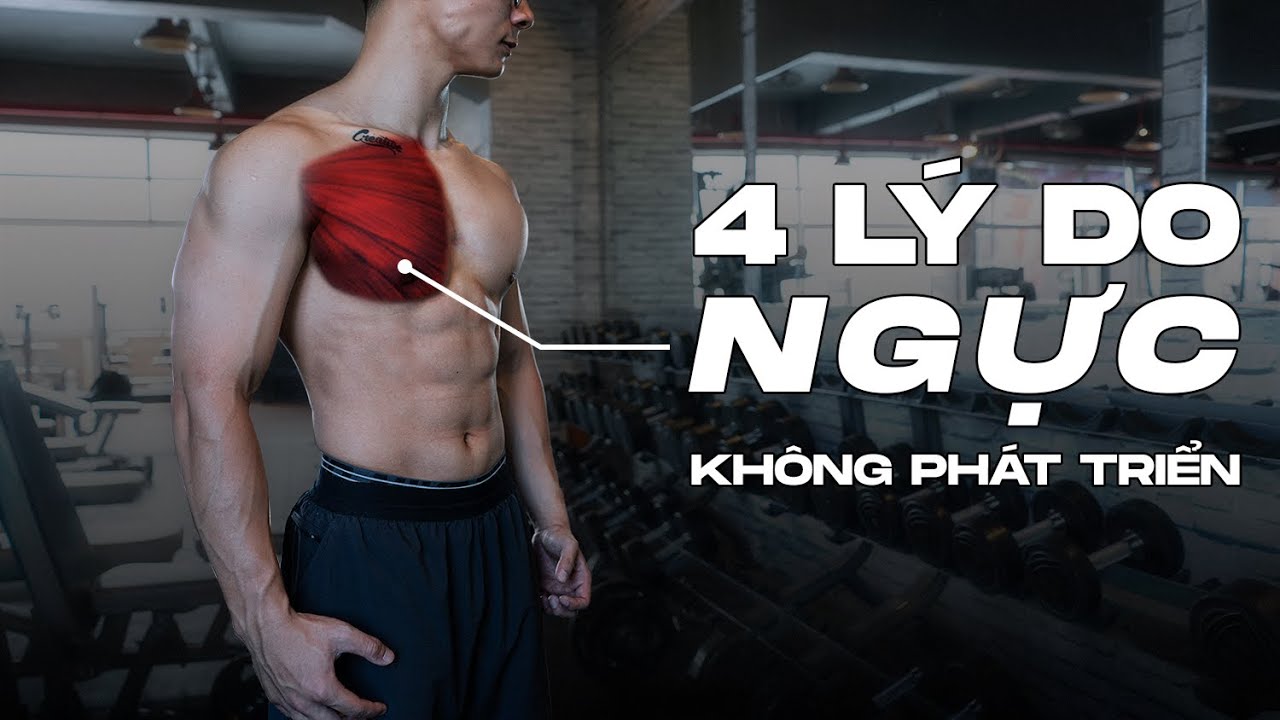 4 LÝ DO khiến bạn TẬP NGỰC mãi không lên & GIẢI PHÁP | Why Your Chest Won’t Grow | SHINPHAMM
