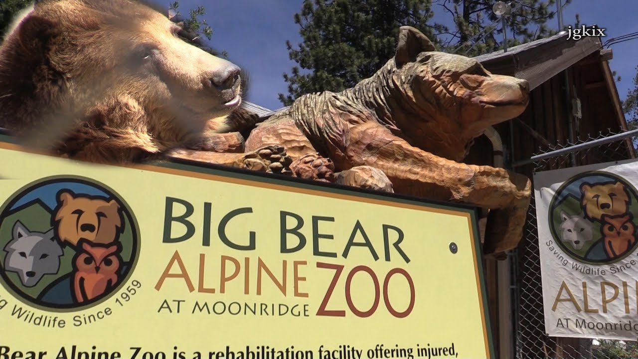 Big Bear Alpine Zoo at Moonridge