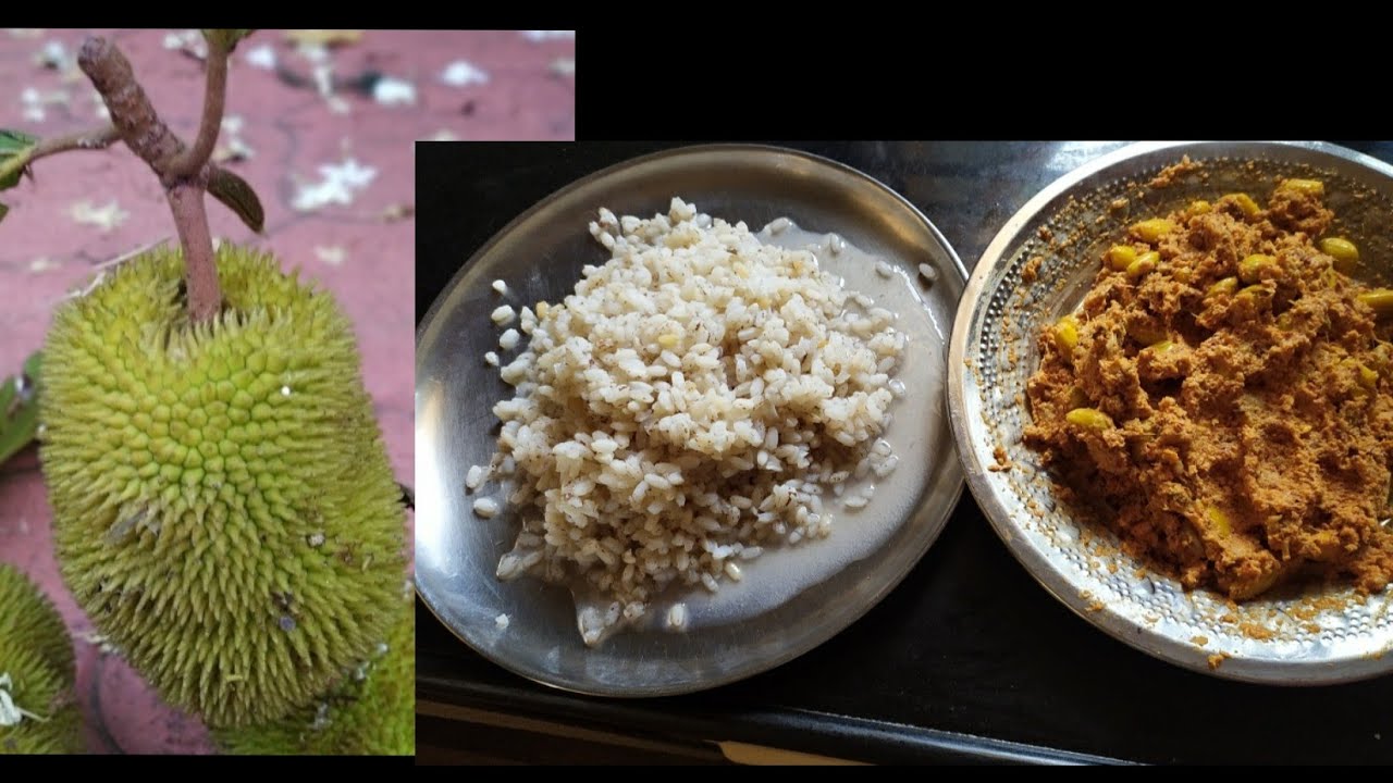 ತುಳುನಾಡಿನ ಓಲ್ಡ್ ರೆಸಿಪಿ ಹೆಬ್ಬಲಸಿನ ಕಾಯಿ ಚಟ್ನಿ  ( ಪೆಜಕಾಯಿ  ಚಟ್ನಿ  )