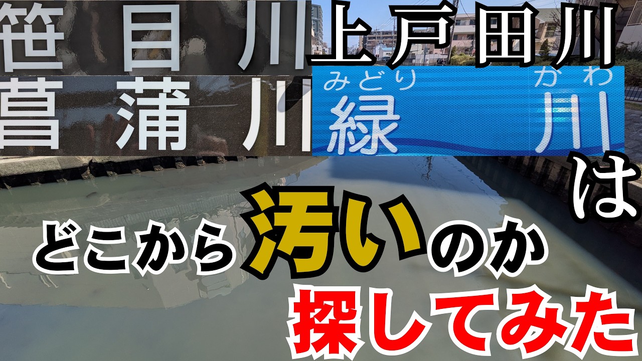【3.5本立て】笹目川･菖蒲川･上戸田川･緑川はどこから汚いのか探してみた