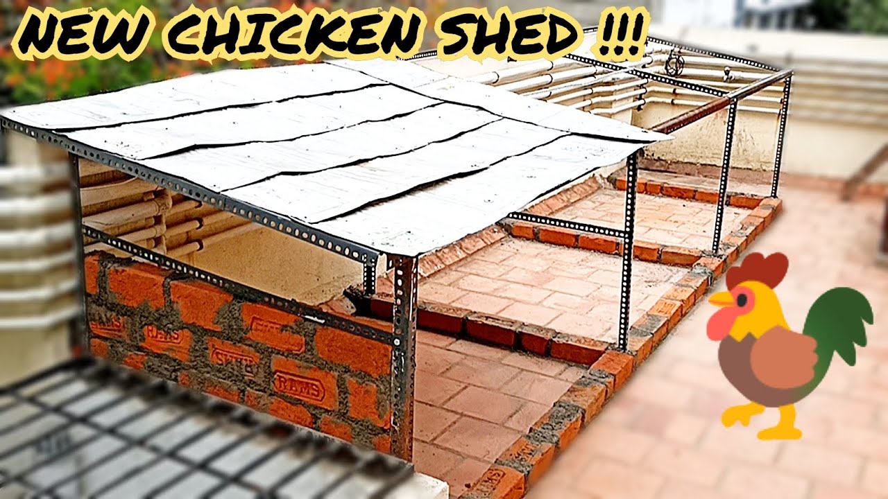 OUR NEW CHICKEN SHED !!! AT TERRACE | ROOF TOP CHICKEN CAGE | TAMIL | AFFAN TIMES
