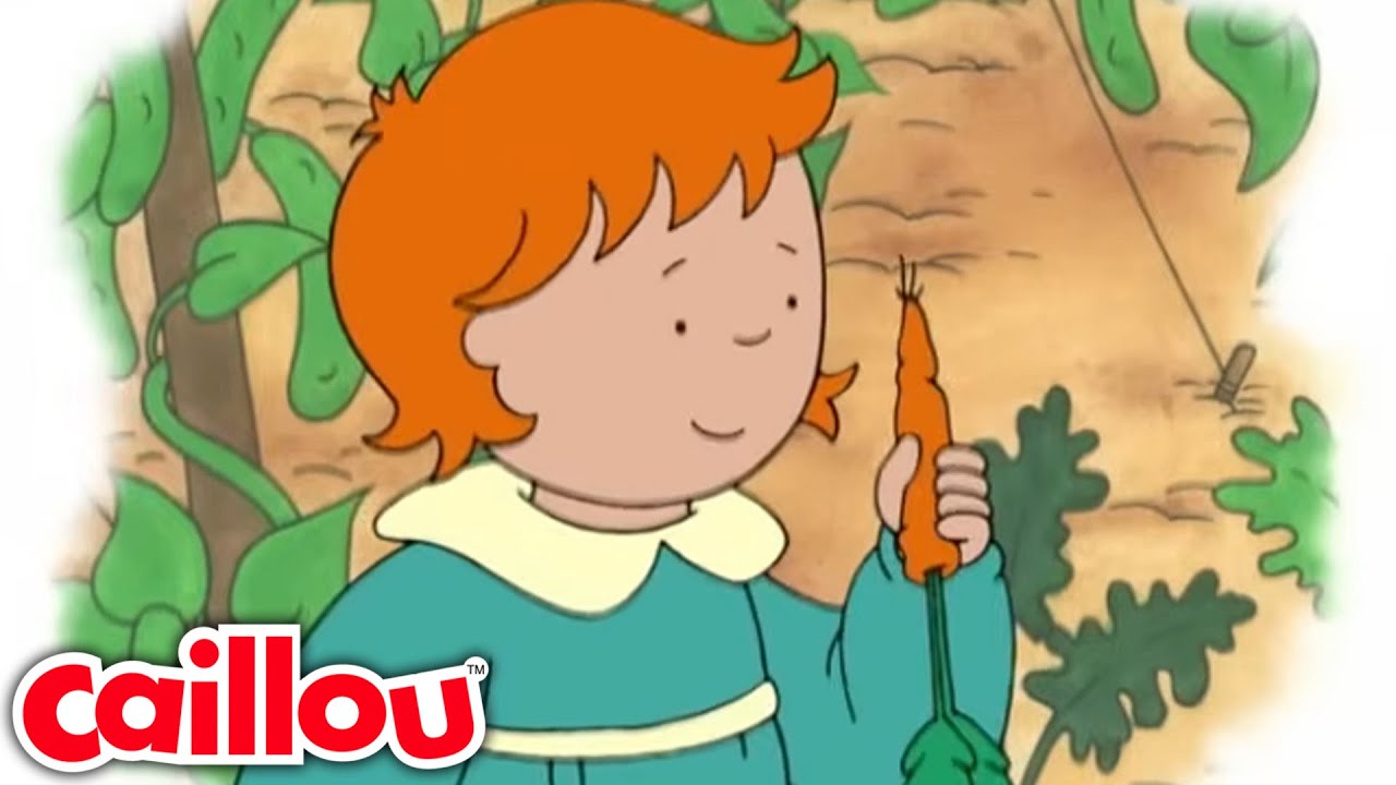 Cenouras Desaparecendo | Caillou Português - WildBrain | Desenhos para crianças