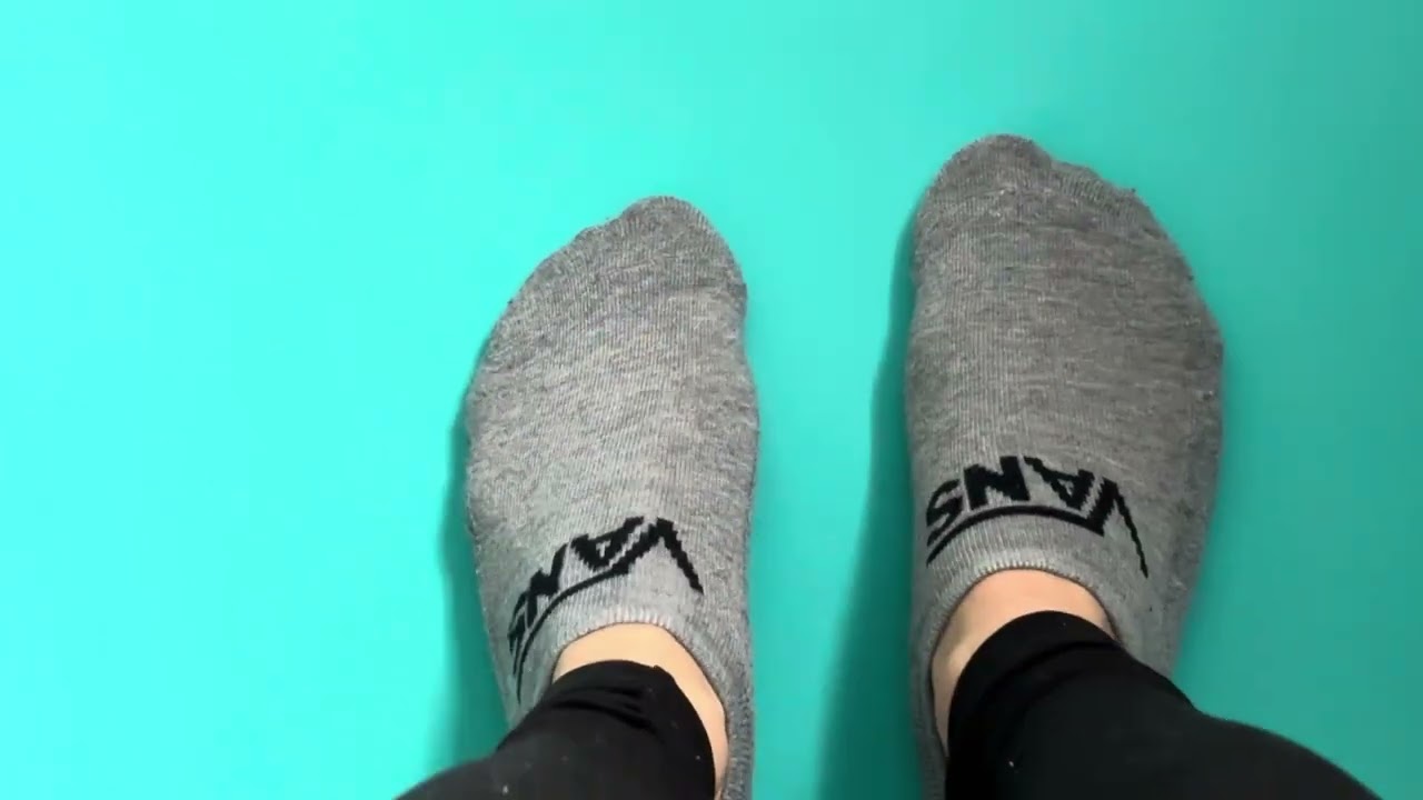 My Favorite Grey Vans No-show Socks