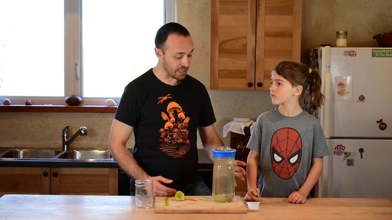 Comment faire du kéfir de fruit