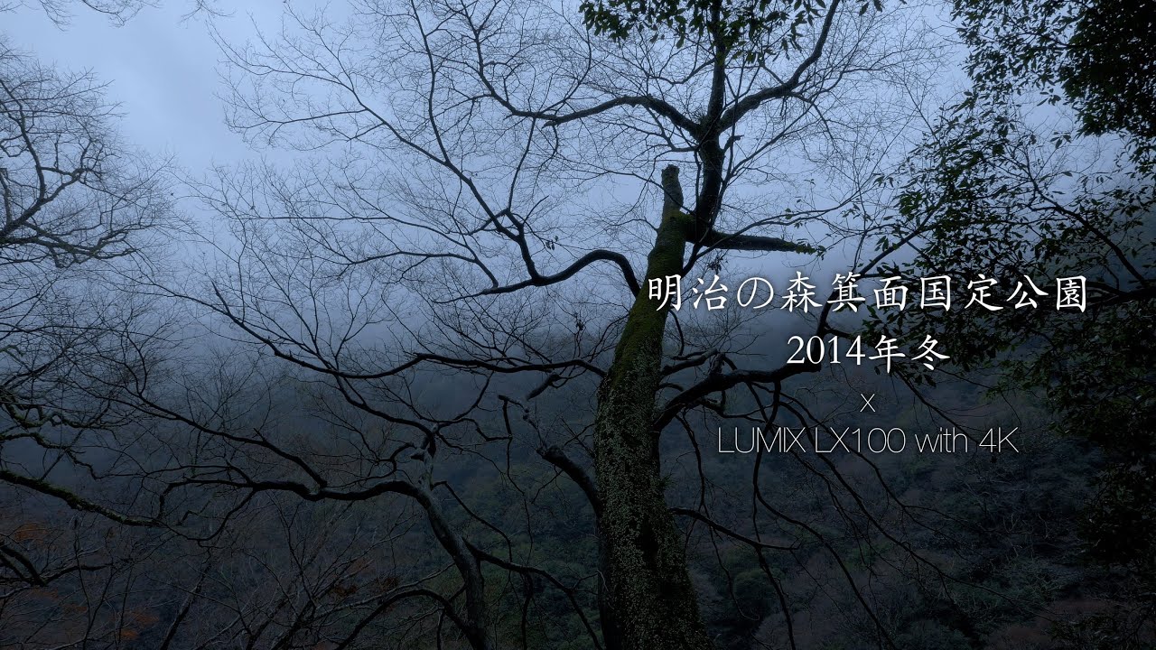 [4K] Panasonic Lumix LX100 TEST Movie3