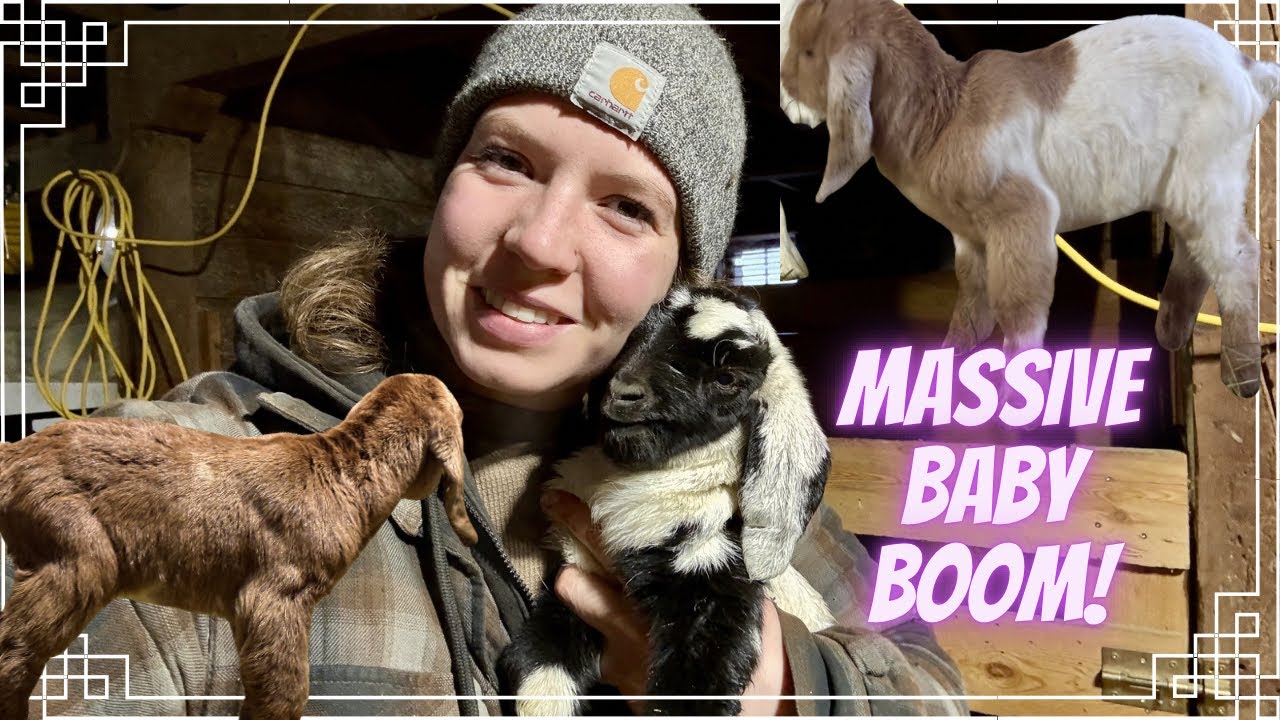 Baby Boom!