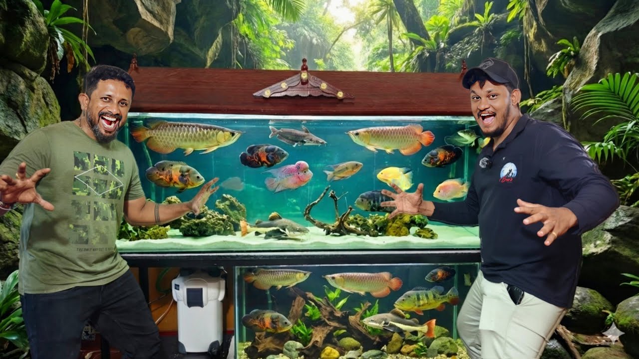 பழுதான Canister Filter ❌ | புதிய SUNSUN 304B UV Filter Installation   Monster Fish Tank Full Upgrade