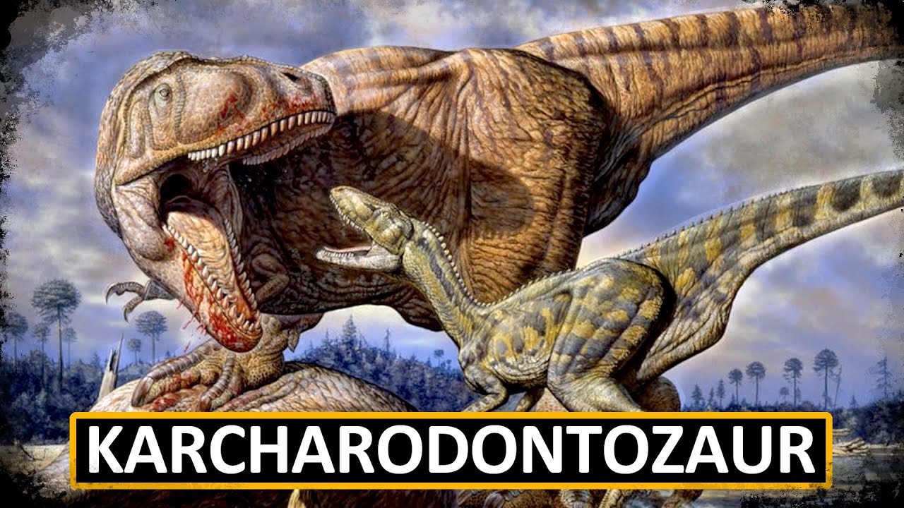 Karcharodontozaur - wielki drapieżny dinozaur z Afryki