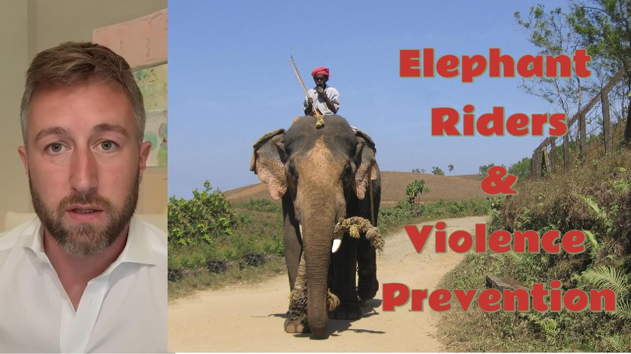 The Elephant Rider Metaphor: A Blueprint for Violence Prevention
