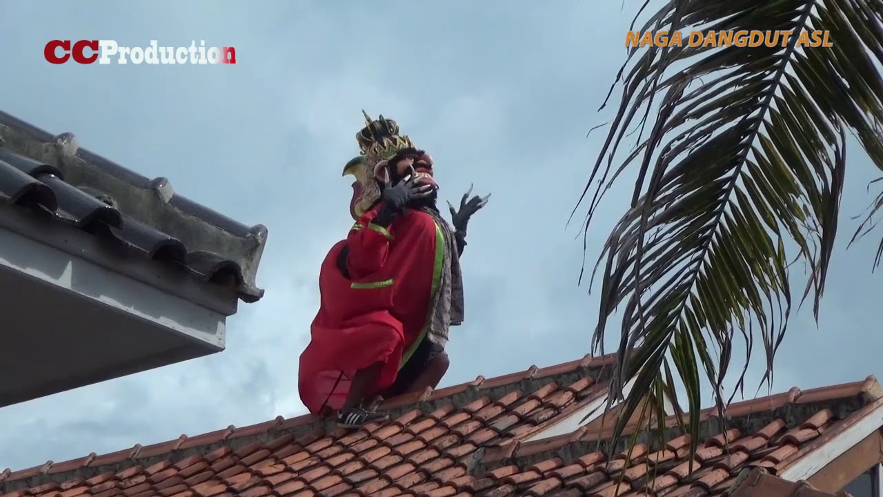 HAREUDANG PERSI BUTA JOGED DI ATAS RUMAH // NAGA DANGDUT ASL