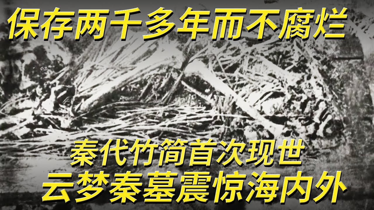 秦代墓葬首次出土1155枚竹简 保存千年不腐 四万多字留存 内容丰富震惊海内外！——云梦秦简特辑  |  中华国宝