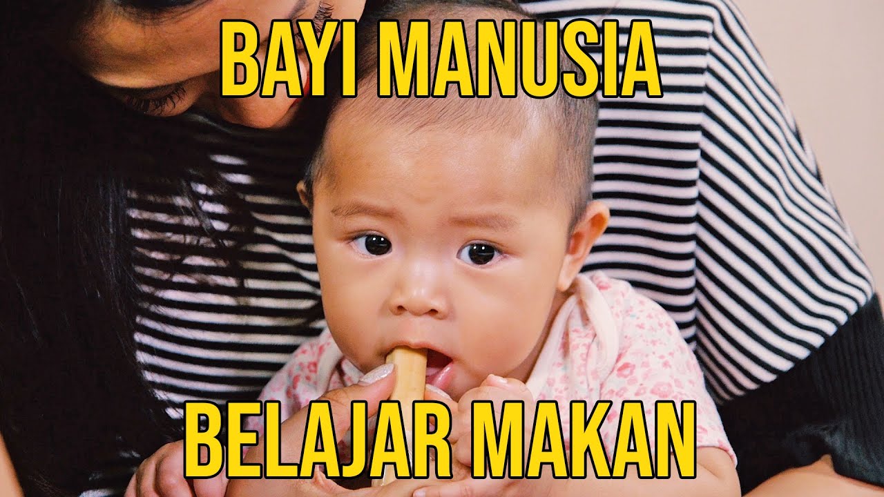 BAYI MANUSIA BELAJAR MAKAN