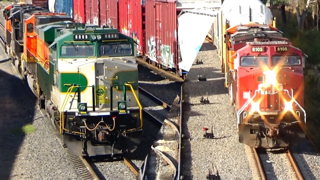 ASÍ ES UNA TARDE DE TRENES EN EL PATIO DE IRAPUATO! FERROMEX, BNSF, CP, NS! Parte #2