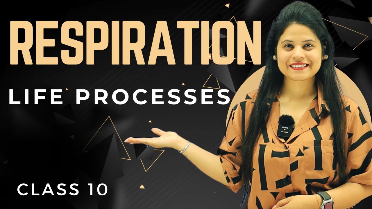 Respiration | Chapter 5 | Introduction | Class 10 Science | NCERT