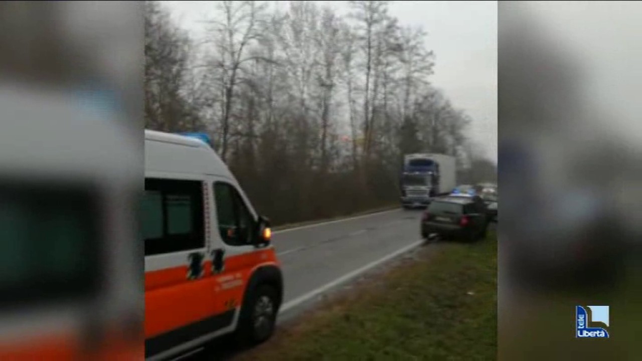 Auto travolge cinghiale. Incidente anche sull’autostrada A1
