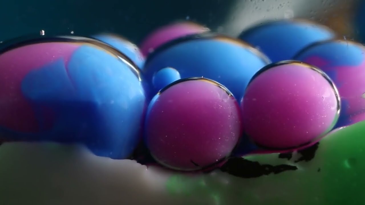 Colors In Macro | Relaxing video| Macro Room