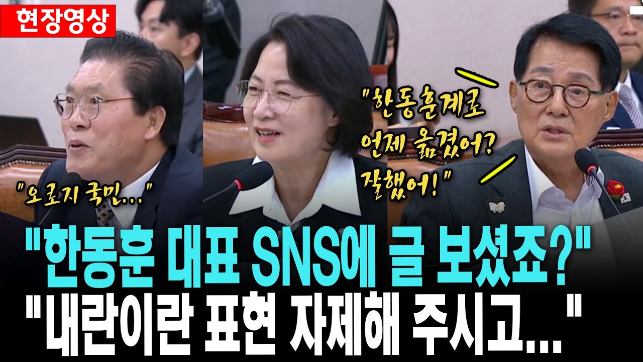 박지원, 