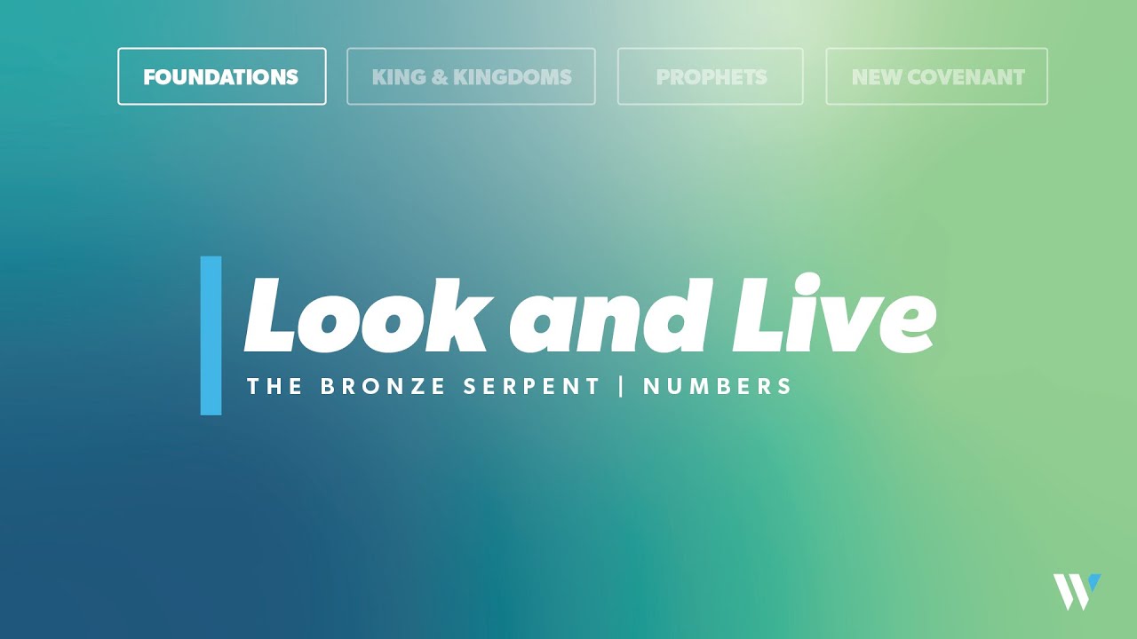 Look and Live: The Bronze Serpent | Numbers 21:4-9 | Jay Strother