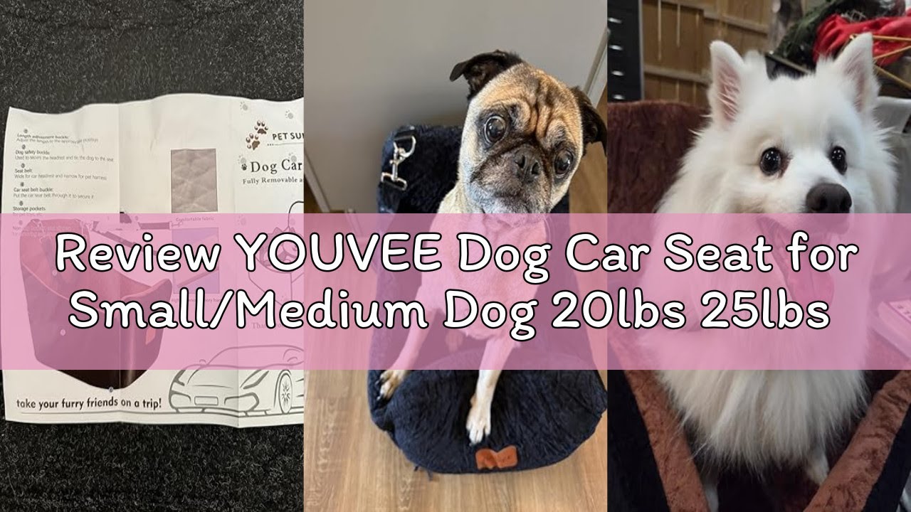 Review YOUVEE Dog Car Seat for Small/Medium Dog 20lbs 25lbs up to 32 lbs,Fully Detachable and Washab
