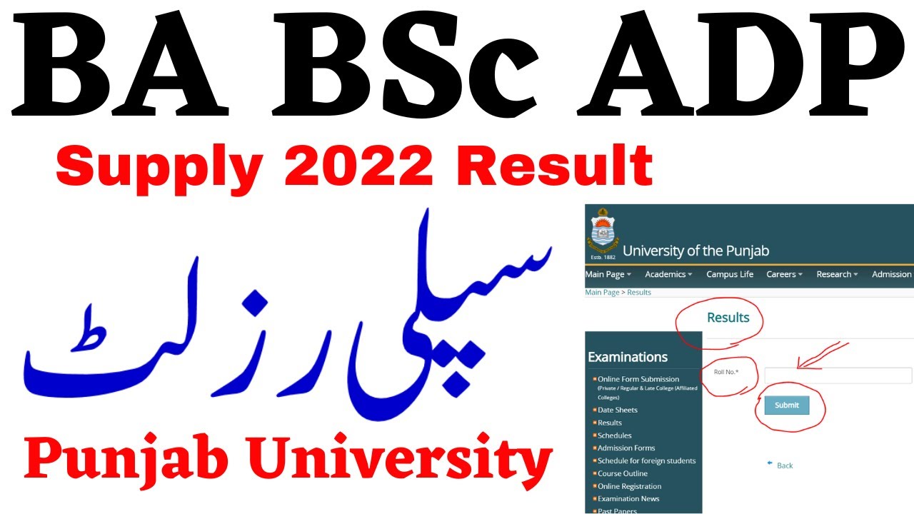 BA BSc ADP Supply 2022 Results PU