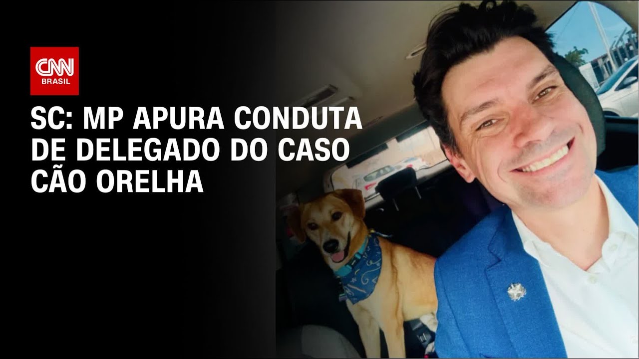 Cão Orelha: conduta de delegado geral é investigada pelo MPSC | CNN NOVO DIA