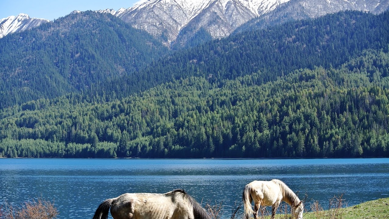 Rara Lake Nepal: Most Beautiful Place on Earth, Truly Natural