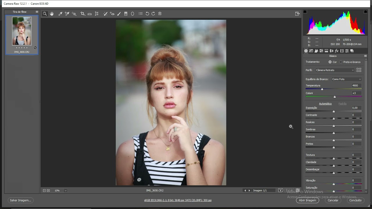 Configurando o camera RAW (Curso Gratuito de Edição de Imagens para Fotografia)