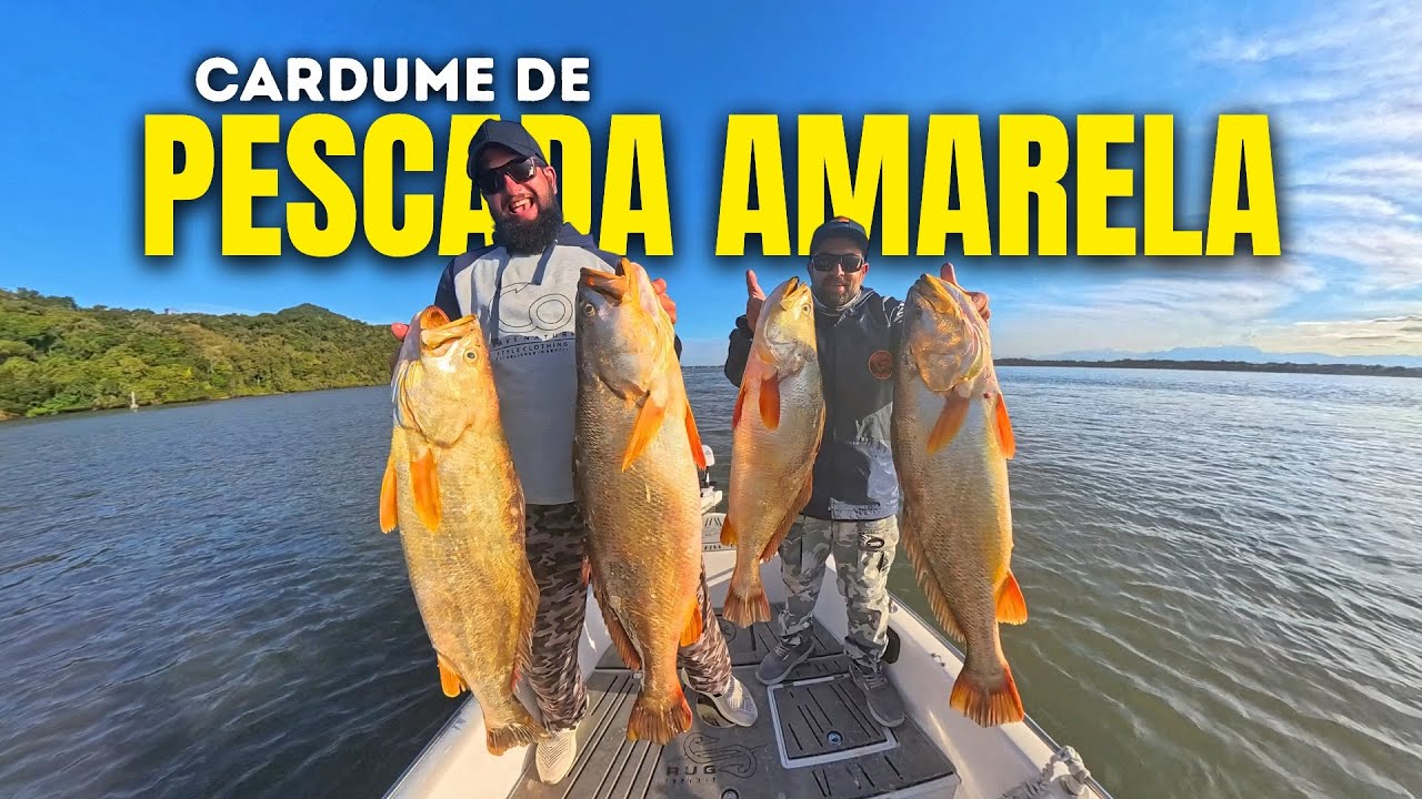 CARDUME INSANO DE PESCADA AMARELA! Elas ficam em lugares assim!!!