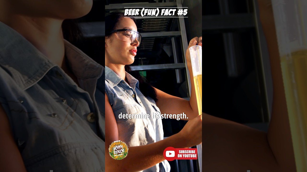 🤔🍺Dark Beer vs Light Beer: Which Packs More Punch?