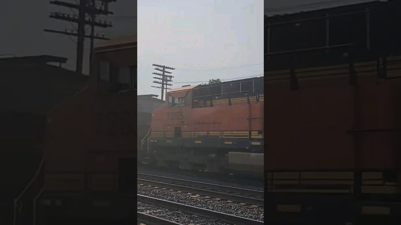 Foreign Power in Sinking Spring, Pa  #train #railfan #trainvideo #railfanning #trainspotting