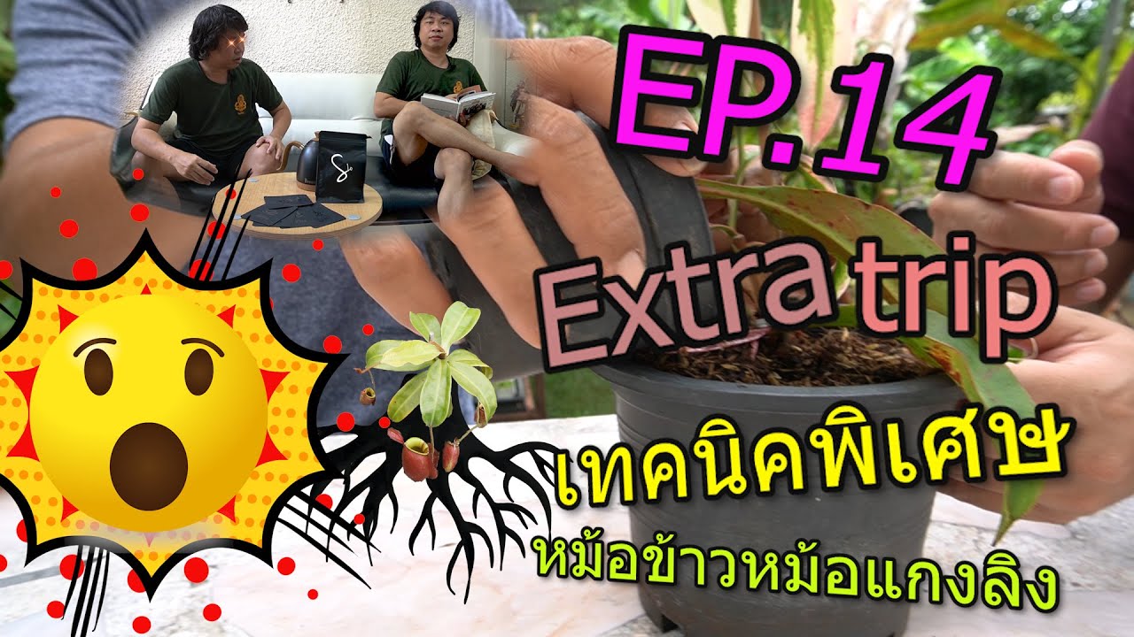EP.14 Extra trip เทคนิคพิเศษ หม้อข้าวหม้อแกงลิง