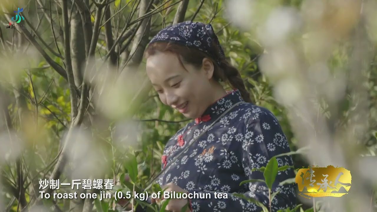 Biluochun tea processing techniques