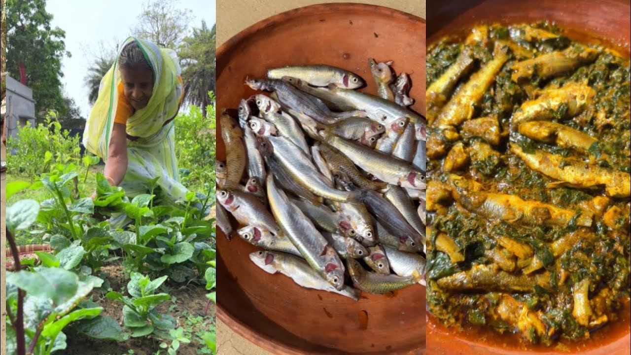 Fresh River Fish with Pui Shaak | Traditional Bengali Village Cooking 🐟🌿
