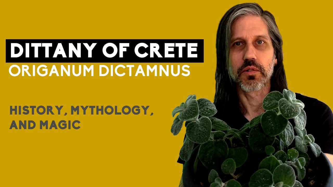 Dittyany of Crete History, Mythology, and Magic