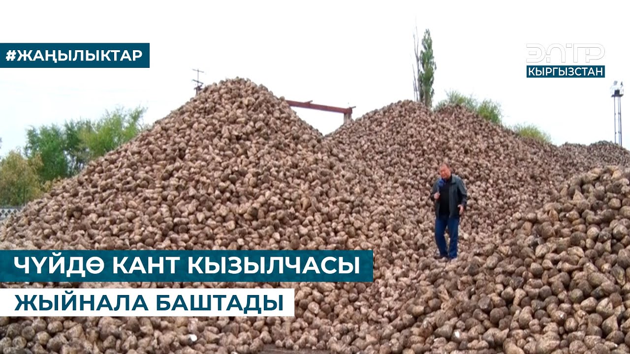 ЧҮЙДӨ КАНТ КЫЗЫЛЧАСЫ ЖЫЙНАЛА БАШТАДЫ