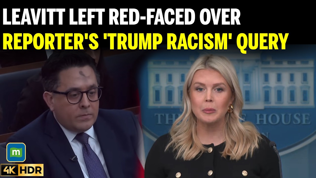 ‘You’re Kidding, Right?’: Karoline Leavitt Reacts to Reporter’s Racism Questione | U.S News
