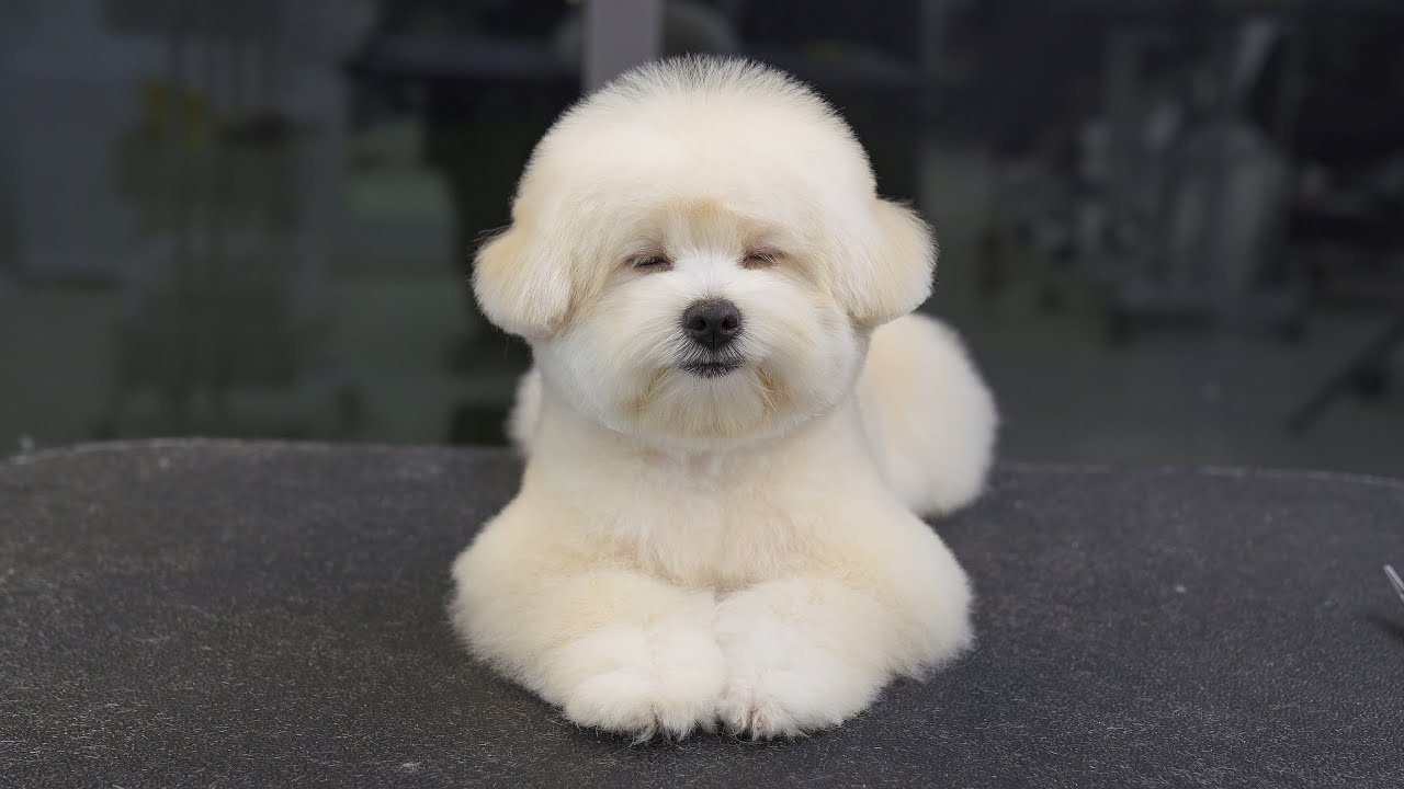 Извините? Идите домой и поспите.