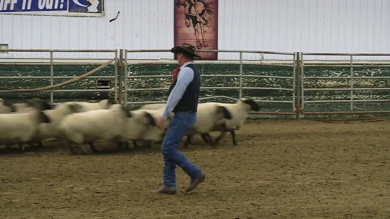 Sheep Handling Demonstration with Curt Pate
