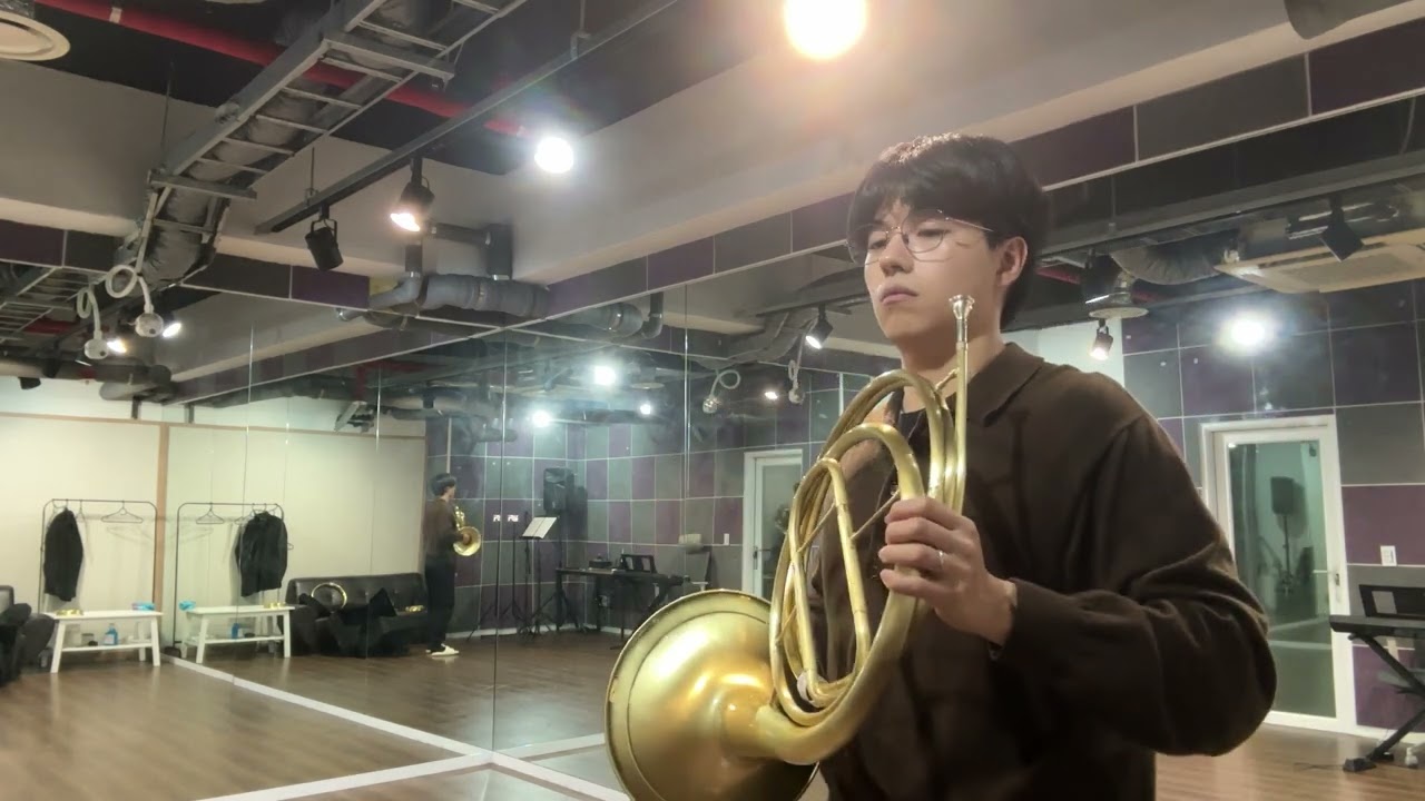 Symphony 29, K. 201 (Movement II)