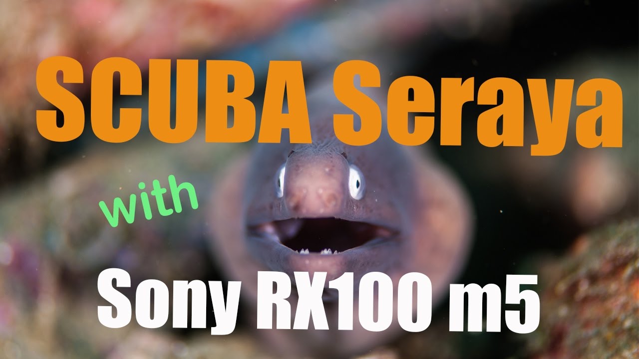 Wet Traveler SCUBA Seraya with Sony RX100 m5 Underwater Review