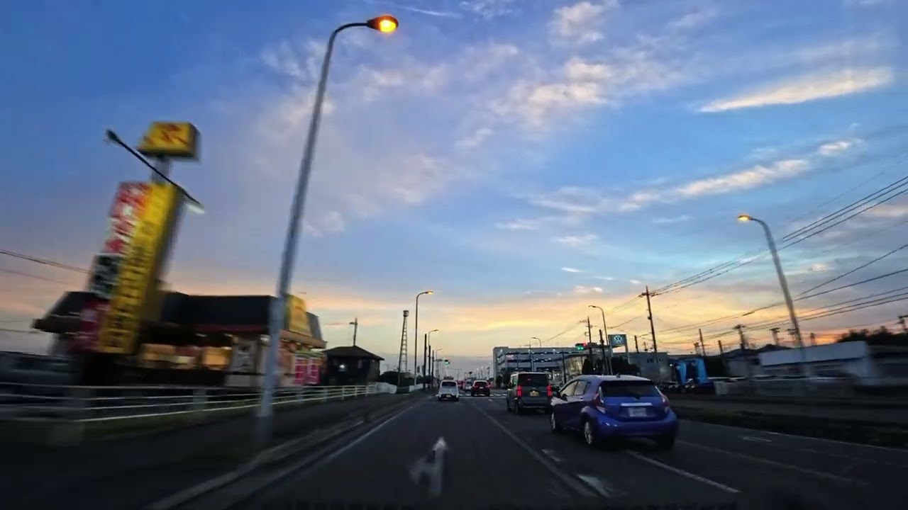 道の駅ごか 錦糸町 車載動画4倍速 dashcam speedx4.0